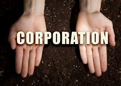 Is a C Corporation Right for Me?
